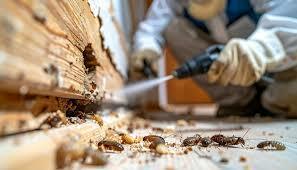  termite treatment process in Kakinada